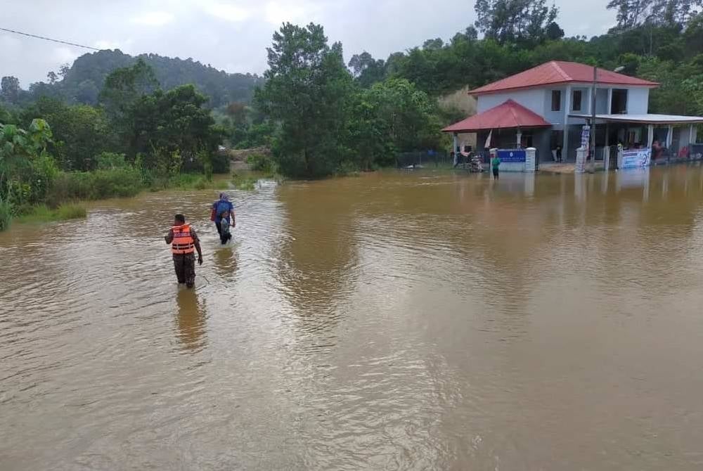Pembinaan pusat pemulihan lengkap dengan sumber makanan haiwan itu dilakukan setelah serik menanggung kerugian kira-kira RM20,000 gara-gara ternakan dihanyutkan arus ketika banjir besar melanda tahun lalu. - Gambar hiasan