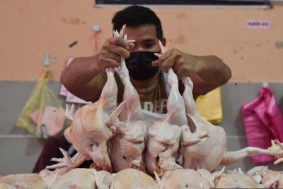 Pengeluar, pemborong dan peruncit ayam perlu menawarkan harga kompetitif bagi mengelak risiko kehilangan pelanggan. (Gambar hiasan) - Foto Bernama