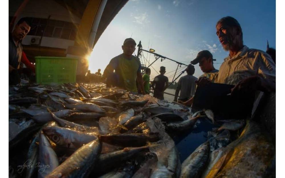 Kekuatan dan keupayaan mana-mana negara bukan sahaja ditentukan dengan saiz dan aset ketenteraan, tetapi keupayaannya untuk mempertahan bekalan makanan.