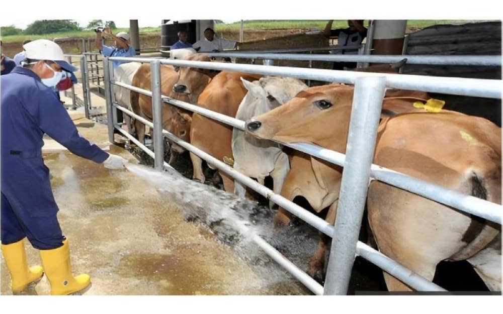  HPPNK 2023 turut menonjolkan kepentingan teknologi dan inovasi dalam industri agro makanan negara 