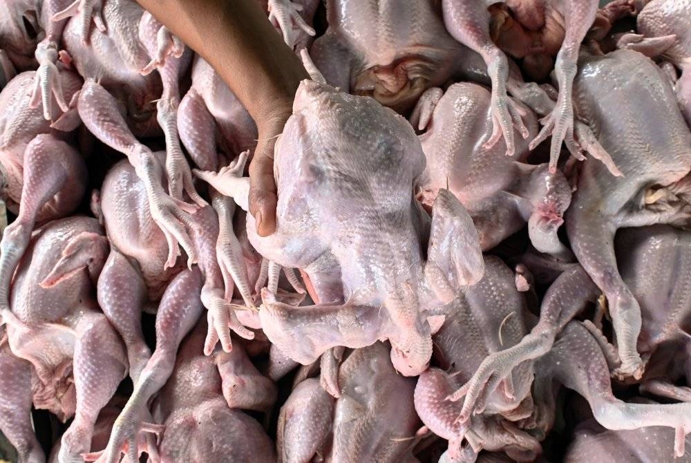 Gambar hiasan. - Foto Bernama