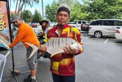 Ikan gerong belang yang menjadi buruan peserta di Port Dickson.