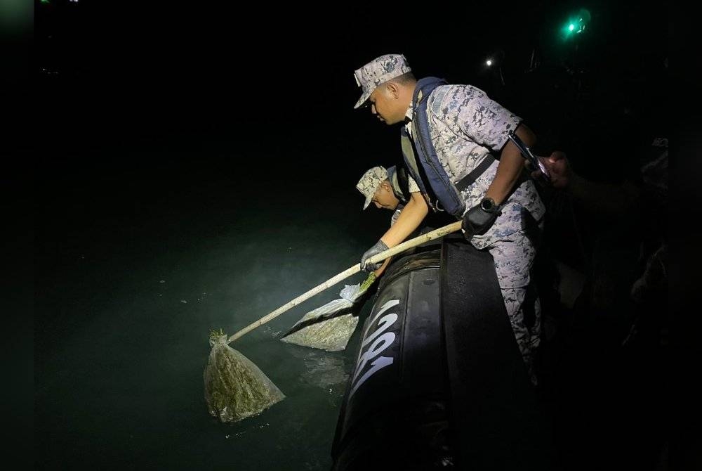 Anggota Maritim mengangkat tiga bungkus daun ganja segar yang dibuang ke laut pada kedudukan 1.9 batu nautika timur laut Tanjung Kemarung, di Langkawi pada malam Rabu. - Foto Maritim Malaysia