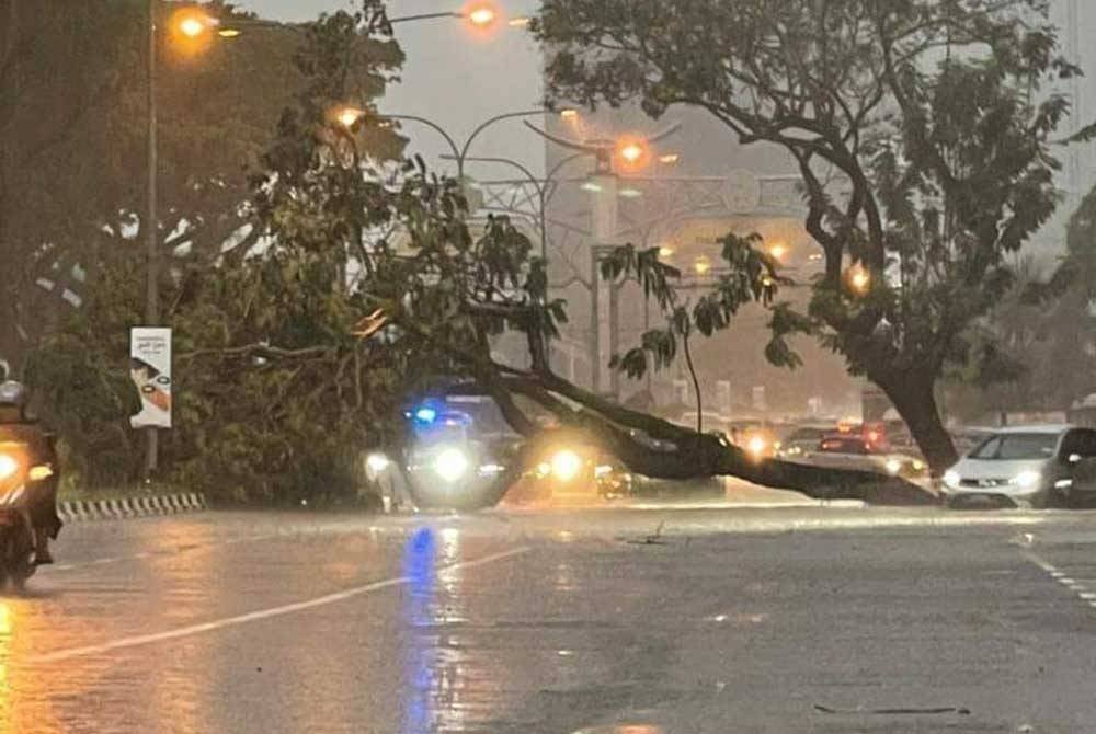 Sebatang pokok tumbang di tepi Jalan Sultan Omar Di Kuala Terengganu awal pagi Isnin. - Foto media sosial.