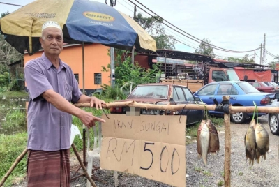 Omar menunjukkan harga ikan tembakan RM5 seikat