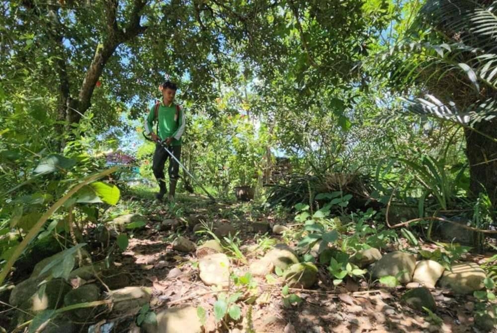 Sifat ringan tulang pelajar cemerlang ini diterjemahkan dengan mengambil upah mesin rumput penduduk kampung dan sawah. - Foto Awani