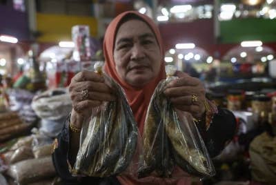 Rahmah menunjukkan 'Ikan budu' yang dijualnya di Pasar Siti Khadijah. - Foto Bernama