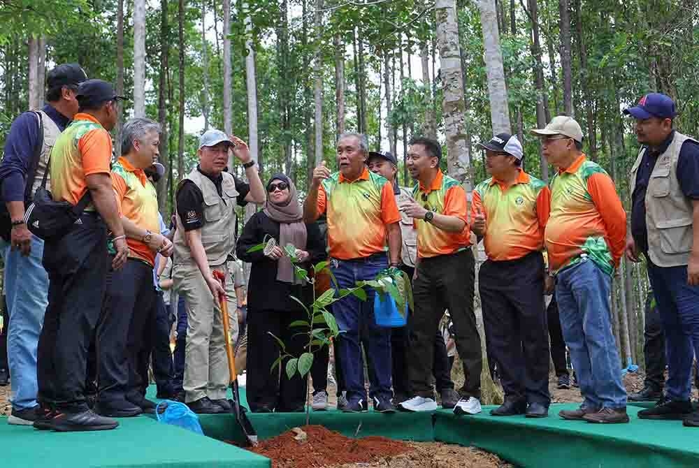 Fadillah (empat dari kiri) menanam anak pokok pada sesi Le Tour de Restoration 2.0 di Hutan Simpan Sabal sempena Trek Komoditi 2023 Zon Sarawak. - Foto Bernama