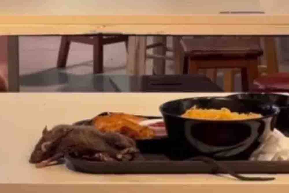 Seekor tikus dirakamkan terbaring atas dulang makanan di Orchard Road. - Foto Agensi