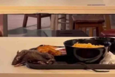 Seekor tikus dirakamkan terbaring atas dulang makanan di Orchard Road. - Foto Agensi