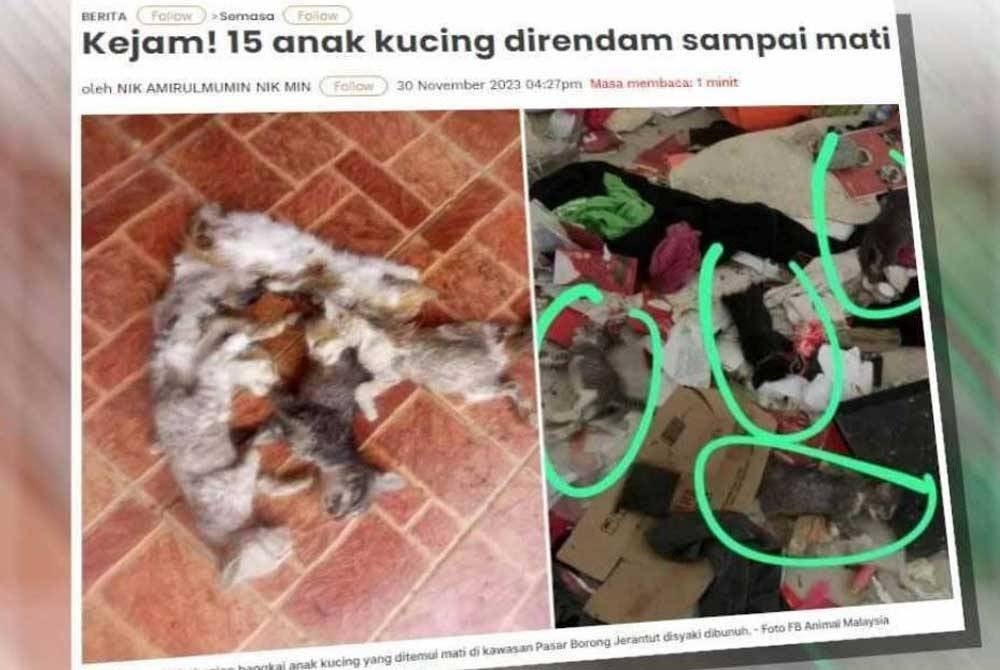 Laporan Sinar Harian pada Khamis.