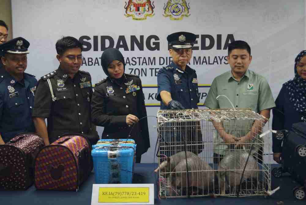 JKDM dengan kerjasama agensi penguat kuasa tempatan menggagalkan cubaan penyeludupan tiga ekor Armadillo di Lapangan Terbang Antarabangsa Kuala Lumpur 2 (KLIA2) pada 28 Oktober lalu.