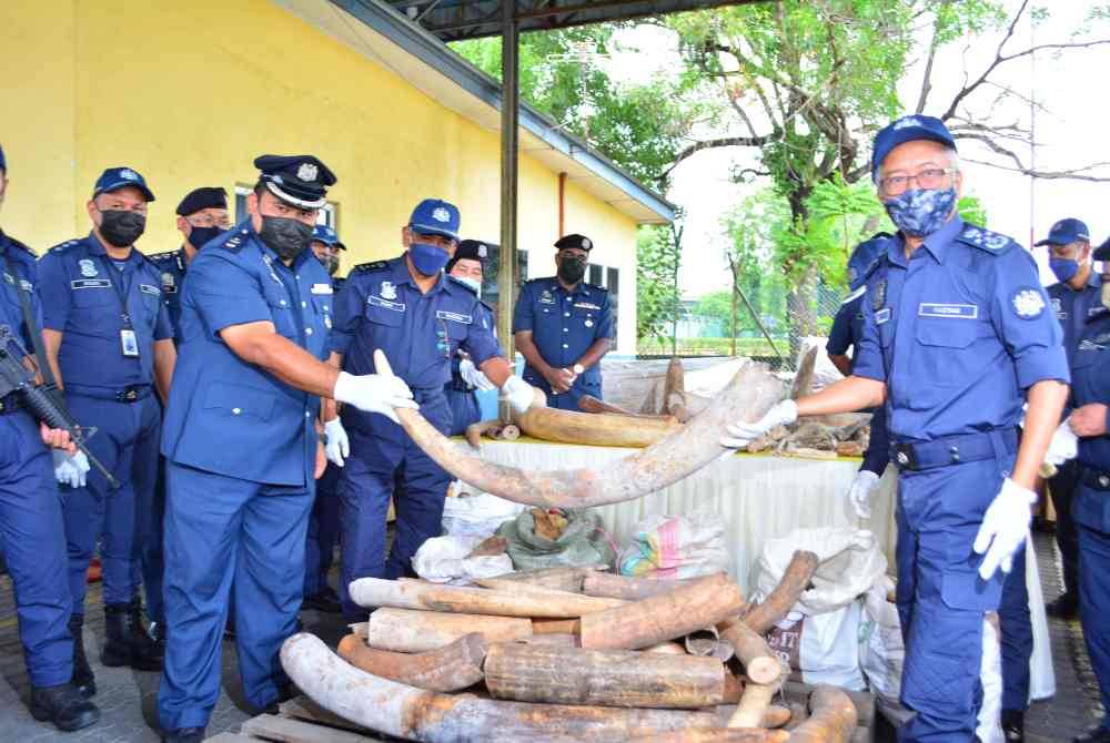 Antara kejayaan JKDM merampas kira-kira 6,000 kilogram gading gajah di Pelabuhan Barat, Selangor tahun lalu.
