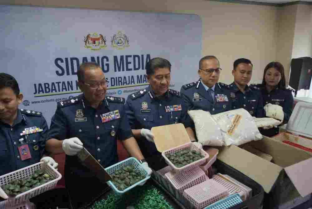 JKDM mematahkan cubaan menyeludup 5,255 ekor anak kura-kura jenis Red Ear Slider ke India di Lapangan Terbang Antarabangsa Kuala Lumpur 2 (KLIA2) pada tahun 2019.