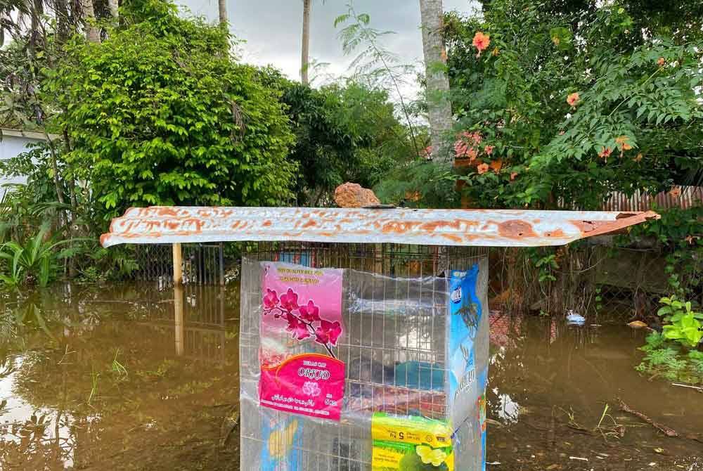 Pelbagai inisiatif dilakukan oleh pemilik si bulus bagi memastikan haiwan peliharaan selamat dari banjir.