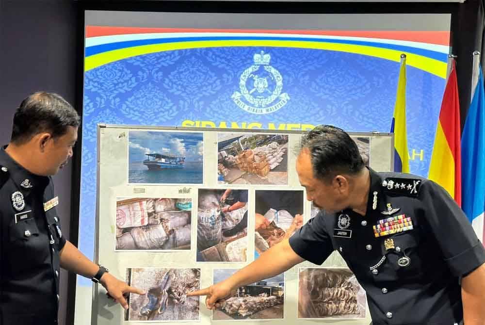 Jauteh menunjukkan gambar hidupan laut yang dirampas dari sebuah kapal yang ditahan di Kudat.