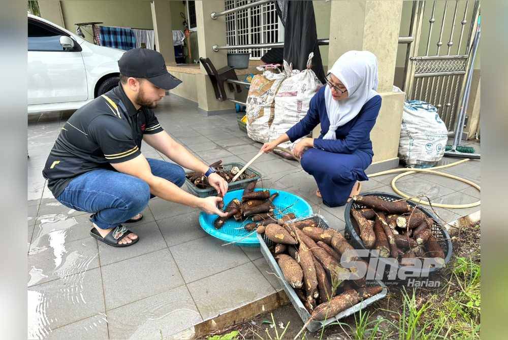 Zarin Ernyza (kanan) dan Imman Shafiq (kiri) melakukan kerja-kerja mencuci ubi kayu bersama-sama.