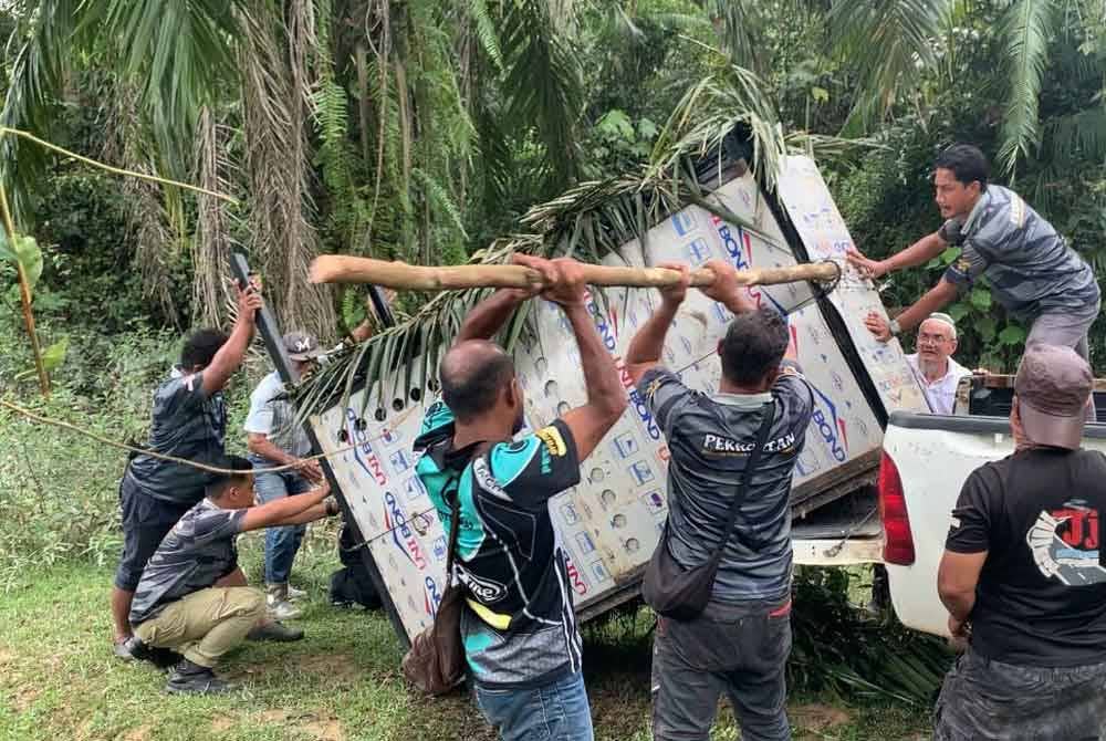 Anggota Perhilitan Terengganu memindahkan harimau kumbang ke habitat asalnya bagi memastikan kemandirian haiwan tersebut. - Foto Perhilitan Terengganu