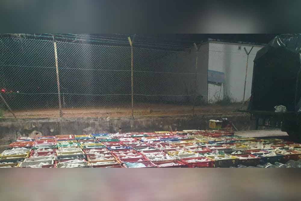 Lebih satu tan daun ketum dirampas dalam operasi di KM 80 Lebuh Raya Utara Selatan berhampiran susur masuk ke hentian RnR Gurun, pada Khamis.