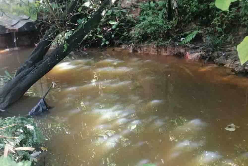 Keadaan belukar di belakang Blok R, Apartmen Idaman.