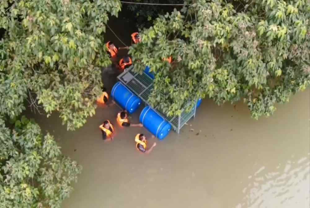 Perhilitan Selangor sedang menjalankan operasi pemasangan perangkap buaya.