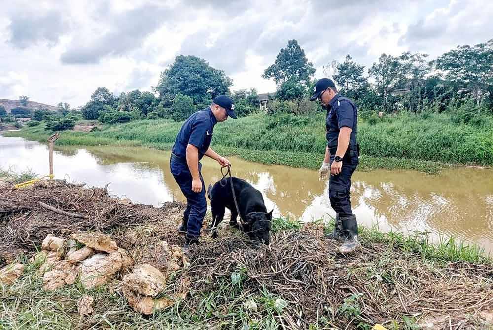 Pasukan K9 sedang membuat pemeriksaan di kawasan penemuan rangka manusia itu.