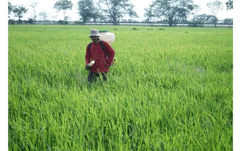 Hasil Banci Pertanian 2024 diharapkan dapat memenuhi indikator Matlamat Pembangunan Mampan (SDG) dan digunakan sebagai pengukur prestasi RMK12.