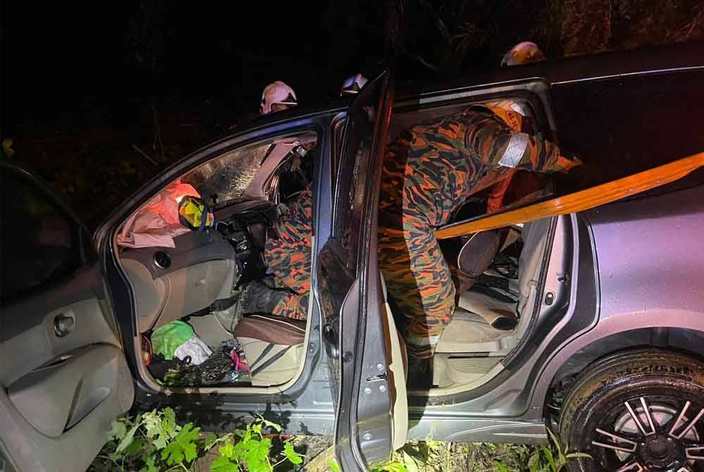 Anggota bomba berusaha mengeluarkan mangsa selepas MPV dipandu terbabas dan merempuh pokok kelapa sawit.