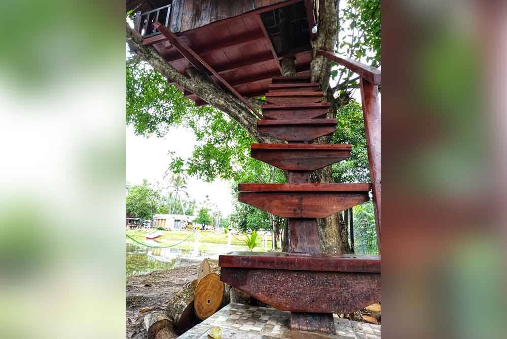 Tangga kayu yang dibuat untuk naik ke pondok pokok di Hamsha Village.
