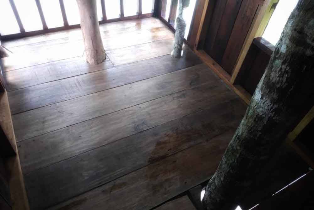 Keadaan dalam pondok pokok yang boleh memuatkan dua orang dewasa dalam satu-satu masa.