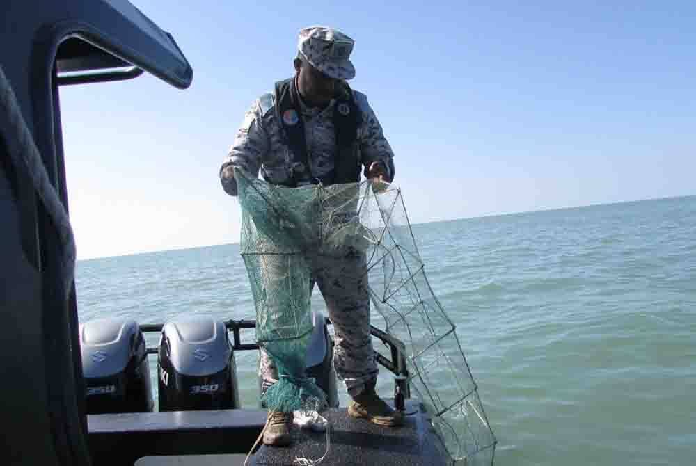 Pegawai Maritim Malaysia merampas bubu naga yang ditemukan dalam rondaan pasukan di perairan Kerian dan Larut Matang. Foto: ihsan Maritim Malaysia