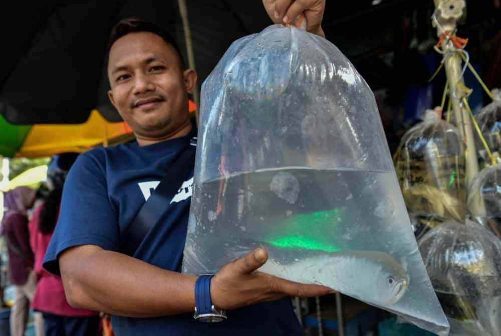 Amir Wafi Hussain, 36, menunjukkan ikan yang dibelinya di Jalan Pasar Pudu. Foto: Bernama
