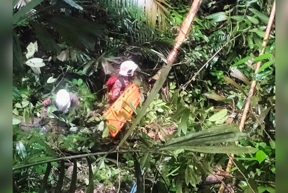 Pasukan bomba yang tiba membuat penilaian kawasan sebelum membawa keluar pemandu lori yang cedera selepas kenderaannya jatuh gaung di Jalan Bukit Larut, Taiping. - Foto ihsan Bomba Perak