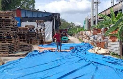 Pemeriksaan melibatkan 26 premis dan daripada jumlah itu hanya tujuh mempunyai lesen perniagaan dan iklan yang sah daripada MPK.