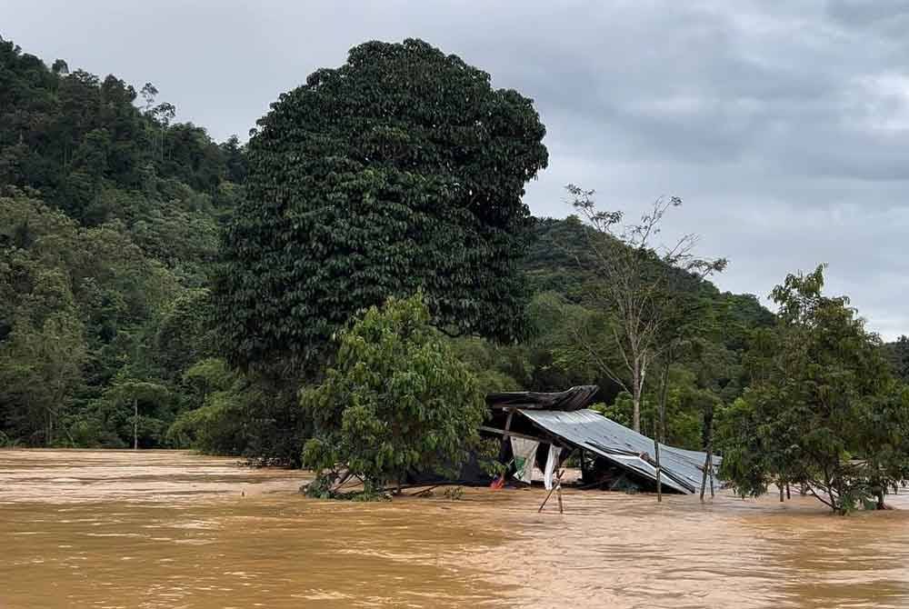 Kesemua mangsa dikatakan berada di sebuah kebun sayur berhampiran Sungai Brooke, Gua Musang pada Isnin.