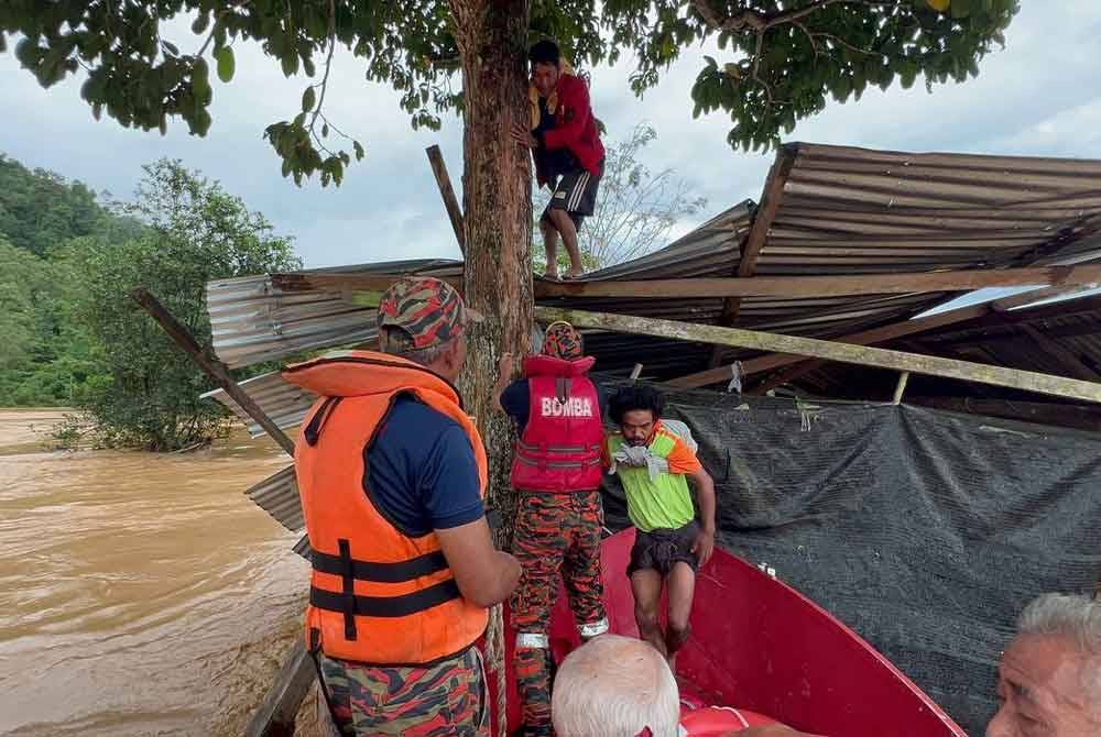 Mangsa yang terperangkap di atas pokok berjaya dibawa turun