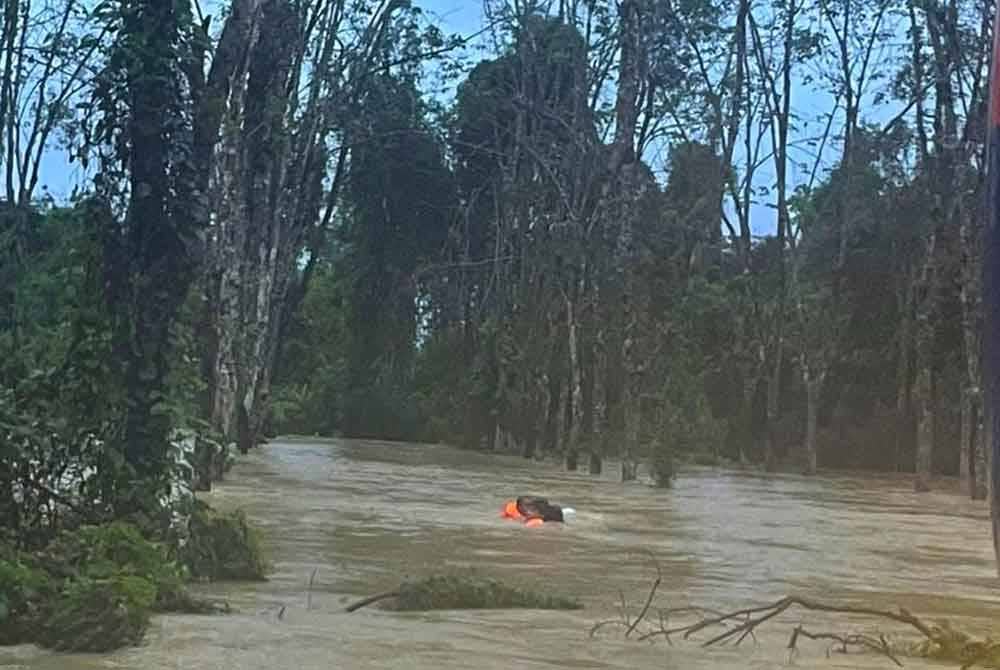Seorang remaja OKU ditemukan tersangkut pada pokok getah selepas dihanyutkan arus deras banjir di Simpang Tiga, Kampung Bunchit, Machang pada Isnin.