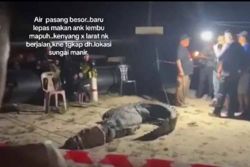 Tangkap layar konon video didakwa buaya ditangkap.