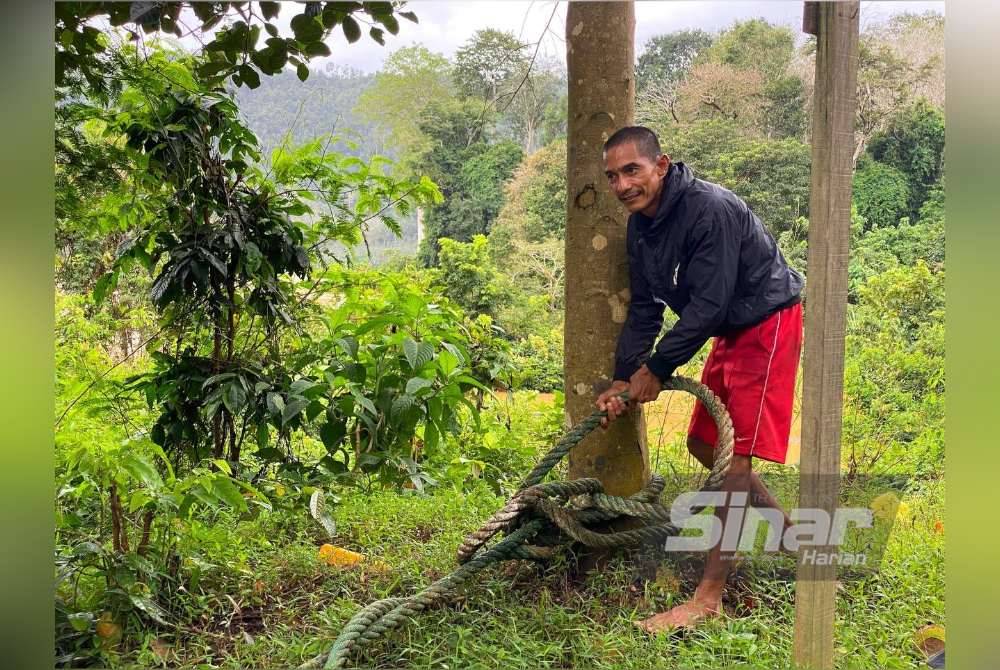Rohaimin terpaksa mengikat sangkar ikan menggunakan tali kapal pada pokok nangka dan durian bagi mengelakkan ia dihanyutkan.