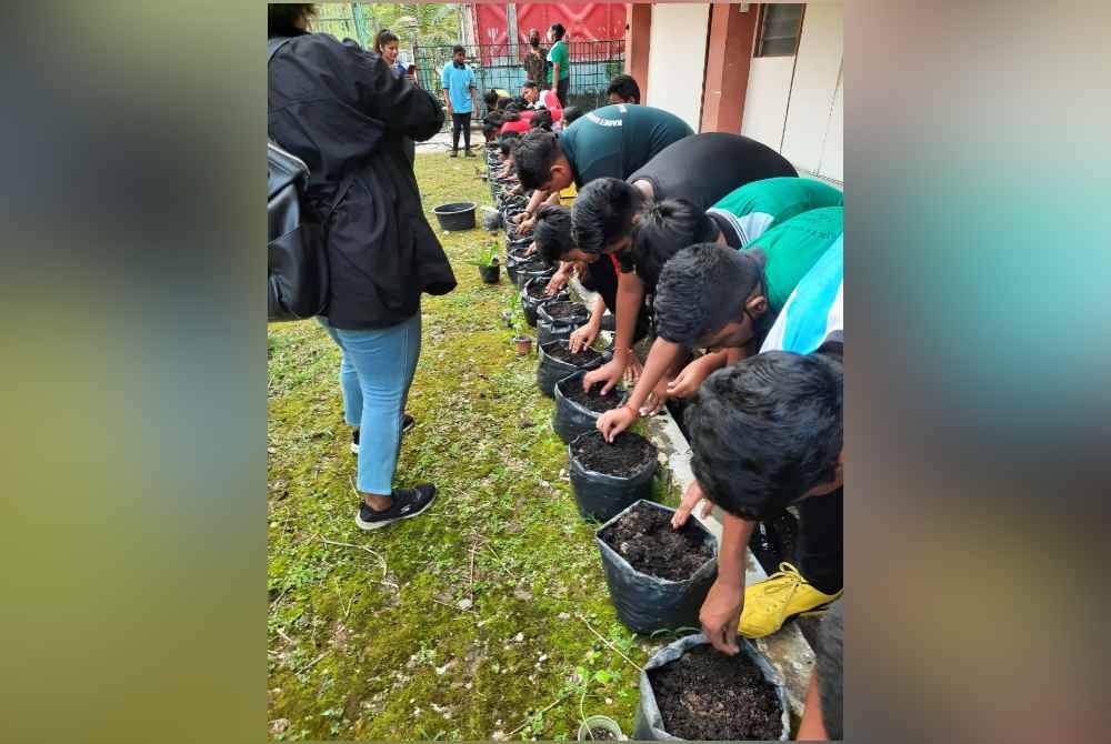 CAP menunjukkan cara menanam dan menuai sayur-sayuran walaupun di tempat yang kecil.