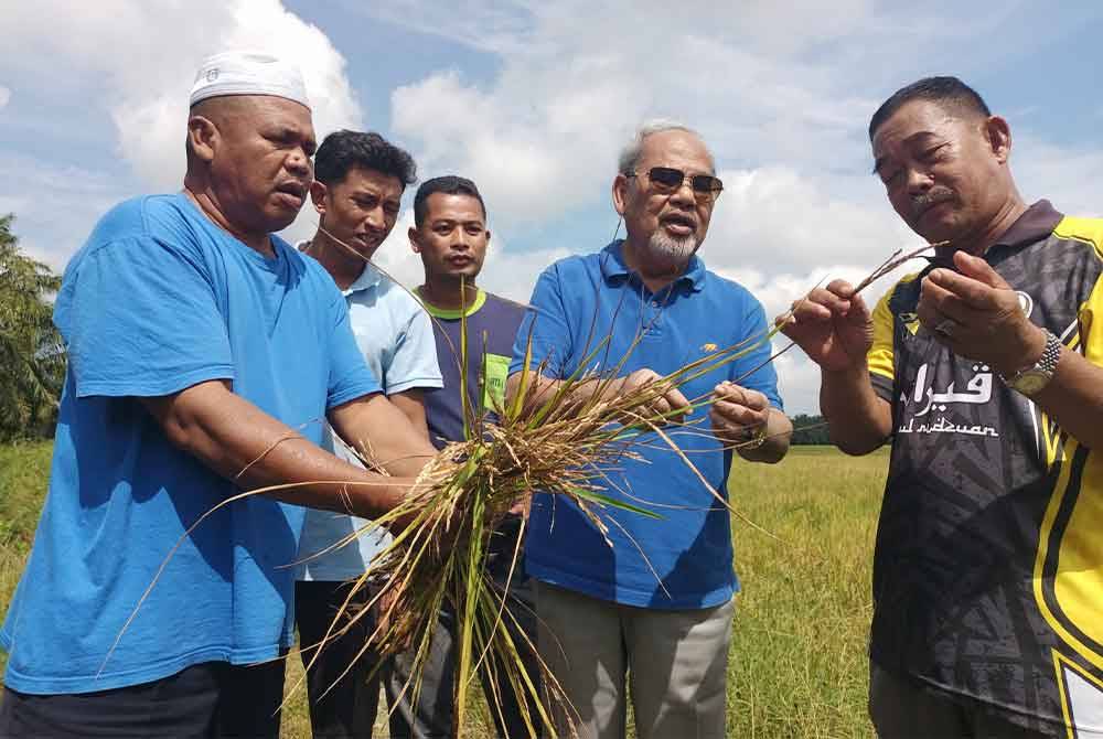 Tajuddin (dua dari kanan) ketika meninjau keadaan sawah padi yang mengalami serangan penyakit BLB di Parit 10 Permatang Pelanduk pada Ahad.