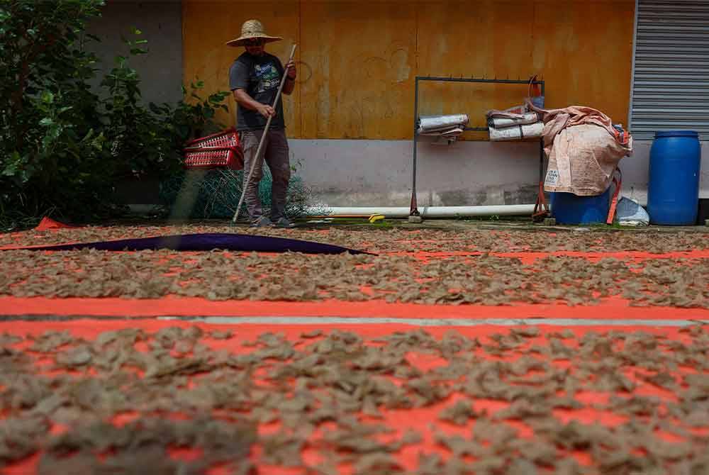 Keropok keping ikan dijemur selepas cuaca kembali cerah ketika tinjauan Bernama di Kampung Geliga, pada Ahad. - Foto Bernama