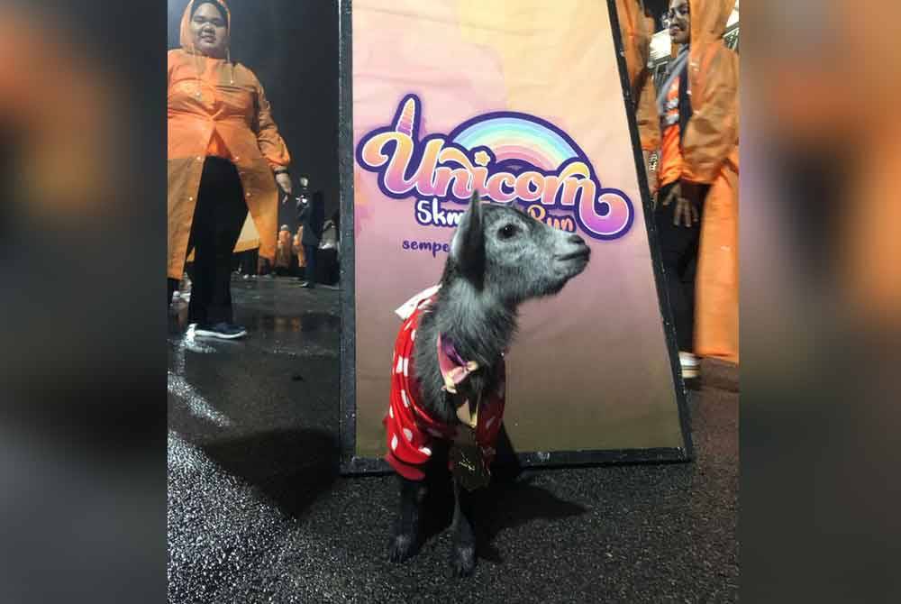 Nami ketika di Unicorn Fun Run di Putrajaya pada 23 Disember lalu.