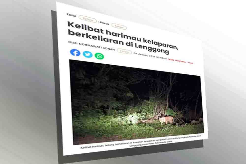 Laporan Sinar Harian