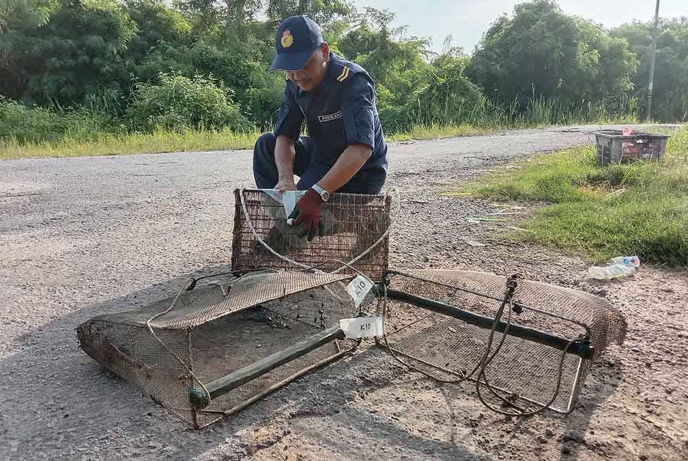 Antara peralatan dipercayai digunakan untuk menangguk kerang secara haram dirampas menerusi serbuan dijalankan pada Jumaat.