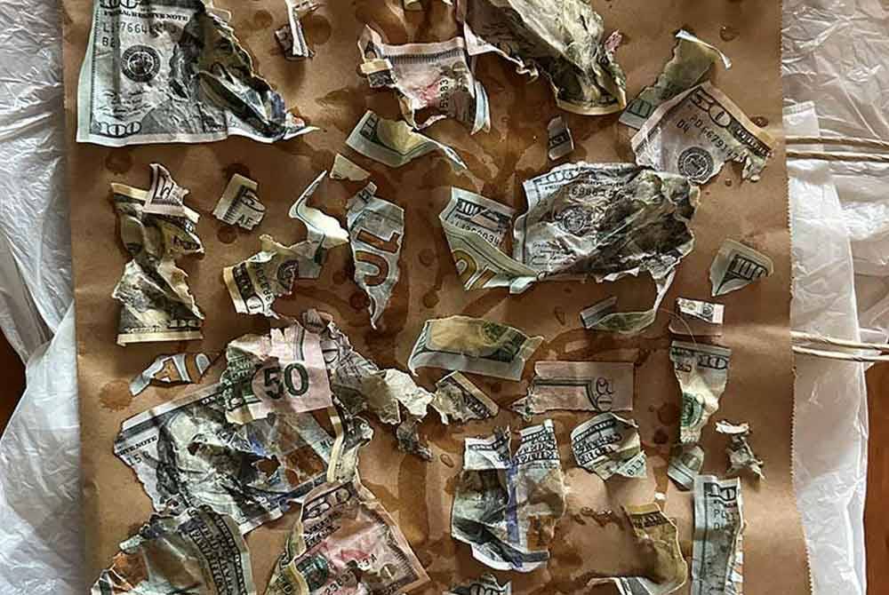 Cebisan wang kertas yang dikunyah oleh anjing terbabit - Foto Reuters