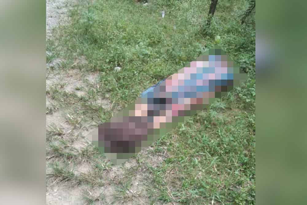 Mayat yang dibungkus dengan selimut dijumpai di tepi jalan namun pemeriksaan mendapati, tiada unsur jenayah ditemui pada jasad mayat.