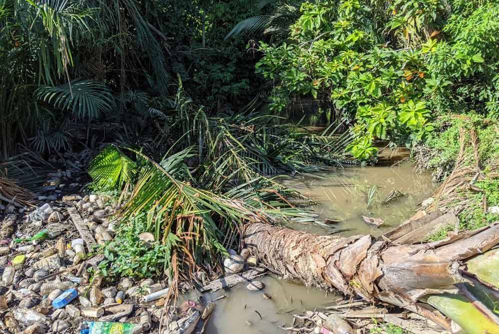Masalah sampah, pokok tumbang selain dasar sungai semakin cetek menyebabkan Sungai Alor Merah, Alor Setar menjadi punca kepada kejadian banjir di kawasan tersebut.