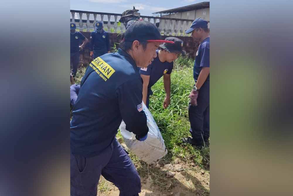 Anggota penguatkuasa membawa keluar bungkusan guni bubu naga yang dibuang ke dalam parit dalam operasi pada Rabu.
