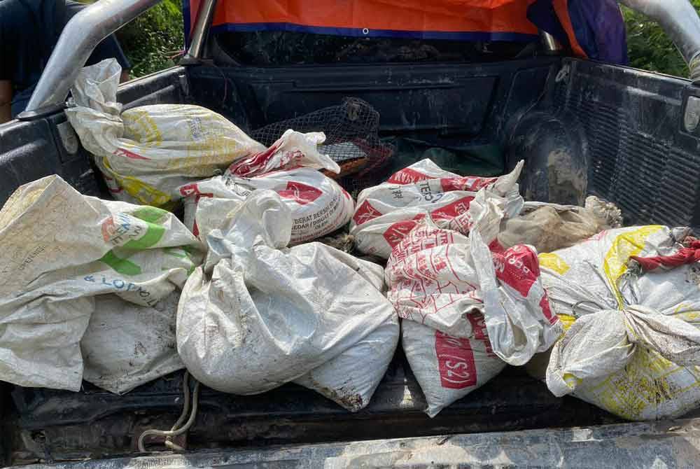 Benih kerang dirampas dalam sebuah pacuan empat roda.